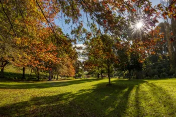 Brian High Photography