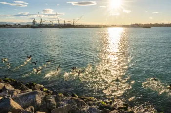 Brian High Photography