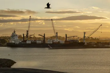 Brian High Photography