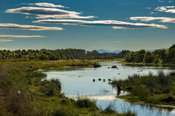 Brian High Photography