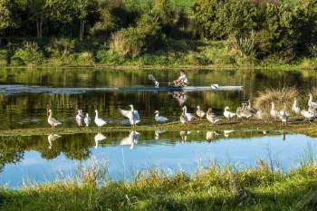 Brian High Photography