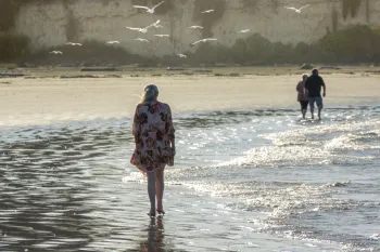 Brian High Photography