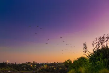 Brian High Photography