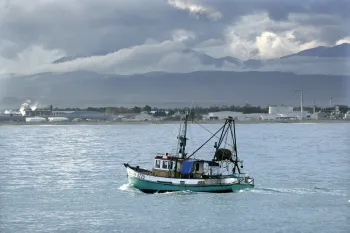 Brian High Photography