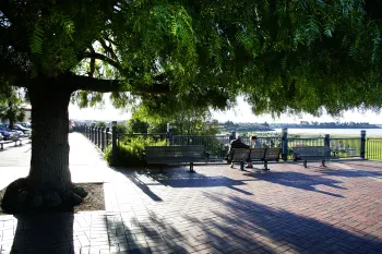 Brian High Photography