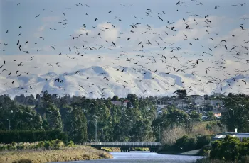 Brian High Photography