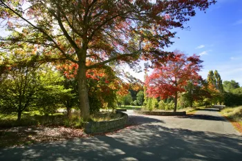 Brian High Photography