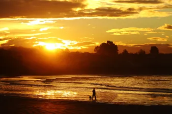 Brian High Photography