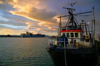 Brian High Photography