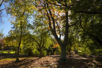 Brian High Photography