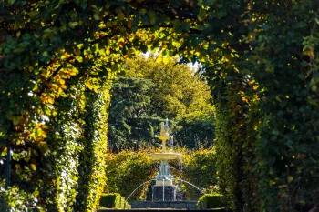 Brian High Photography